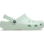 Classic Mint Tint Unisex