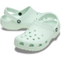 Classic Mint Tint Unisex