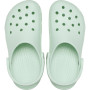 Classic Mint Tint Unisex