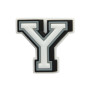 Jibbitz Letter Y