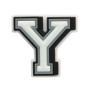 Jibbitz Letter Y