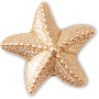 Jibbitz Gold Star Fish
