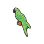 Jibbitz Green Parrot